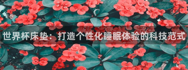 2026男足世界杯：世界杯床垫：打造个性化睡眠体验的科技范式