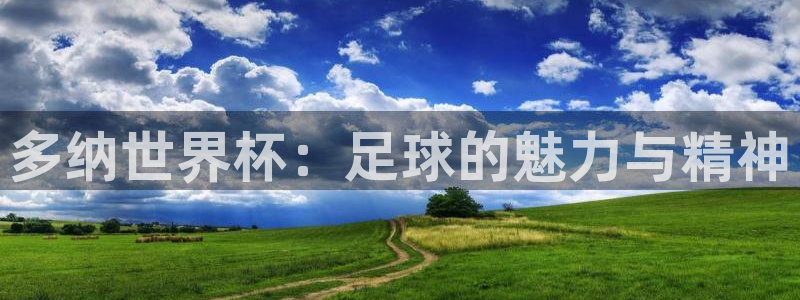 2026世界杯预选赛：多纳世界杯：足球的魅力与精神
