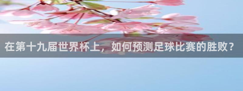 世界杯欧洲预选赛：在第十九届世界杯上，如何预测足球比赛的胜败？