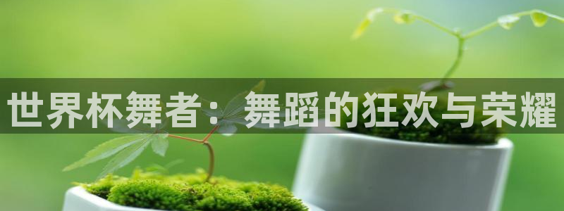 世界杯欧洲区赛程：世界杯舞者：舞蹈的狂欢与荣耀