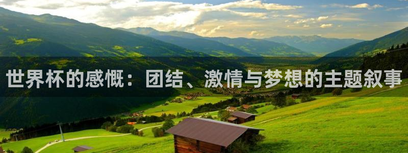女足世界杯直播在线观看免费高清：世界杯的感慨：团结、激情与梦想的主题叙事
