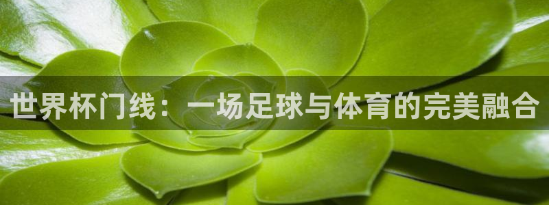 世界杯转播表：世界杯门线：一场足球与体育的完美融合
