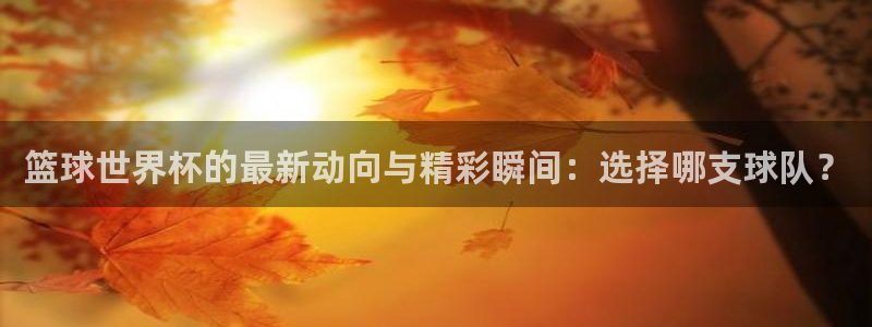 2026世界杯足球赛程时间表：篮球世界杯的最新动向与精彩瞬间：选择哪支球队？