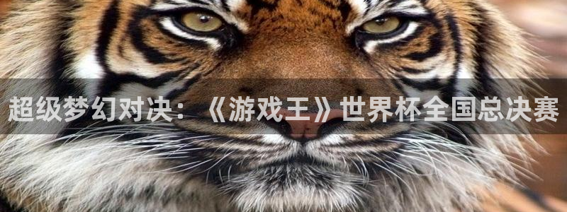 亚洲区世界杯预选赛：超级梦幻对决：《游戏王》世界杯全国总决赛