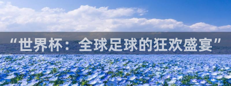 2026世界杯赛程表完整版：“世界杯：全球足球的狂欢盛宴”