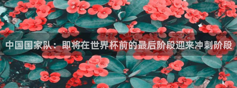 世俱杯直播：中国国家队：即将在世界杯前的最后阶段迎来冲刺阶段