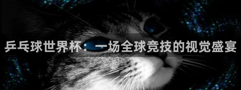 世界杯预选赛欧洲赛区赛程：乒乓球世界杯：一场全球竞技的视觉盛宴