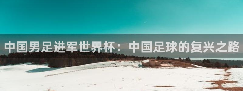2026年男足世界杯：中国男足进军世界杯：中国足球的复兴之路