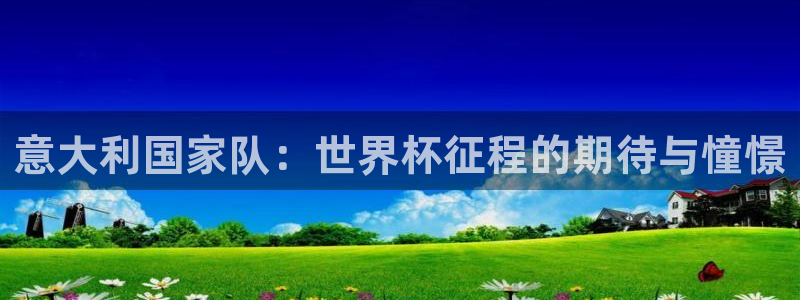 世界杯48支球队赛制：意大利国家队：世界杯征程的期待与憧憬