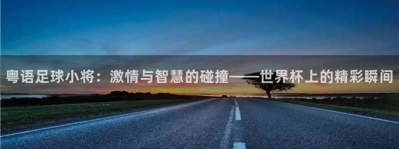 世界杯预选赛亚洲区赛程：粤语足球小将：激情与智慧的碰撞——世界杯上的精彩瞬间